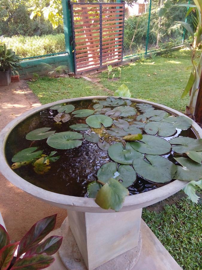 Villa Waterway Garden Polonnaruwa Exterior foto